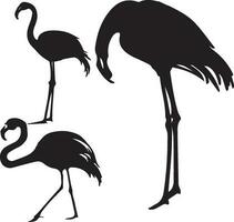 Flamingo silhouette set in white background vector