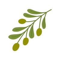 Cartoon Color Green Olives Branch with Leaves. Vector