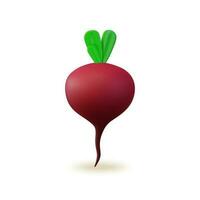 3d Fresh Vegetable Whole Beet Concept Cartoon Style. Vector