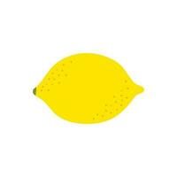 Cartoon Color Whole Lemon Side View. Vector