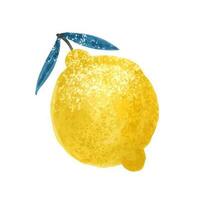 limón. resumen moderno conjunto de limón clipart en un blanco antecedentes. Fresco limones impresión. minimalismo limón. póster con agrios frutas gráfico elemento para tela, textil, ropa, envase papel, pared vector