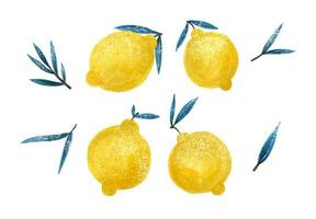 Lemon. Abstract modern set of lemon clipart on a white background. Fresh lemons print. Minimalism lemon. Poster with citrus fruits. Graphic element for fabric, textile, clothing, wrapping paper, wall vector