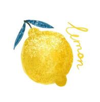 Lemon. Abstract modern set of lemon clipart on a white background. Fresh lemons print. Minimalism lemon. Poster with citrus fruits. Graphic element for fabric, textile, clothing, wrapping paper, wall vector