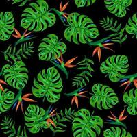 Exotic tropical pattern with monstera leaves and strelizia. Bright summer pattern vector