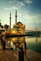 Mosque and Bosphorus bridge photo