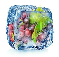 Grape in ice cube photo