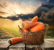 Carrot and landscape photo