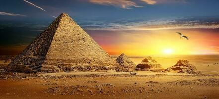 Pyramids at sunset photo