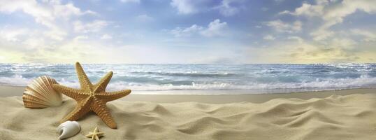 starfishes and shells on the beach - photo