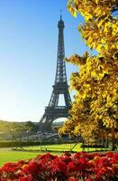 flor y eiffel torre en otoño foto