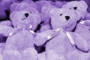 Lilac Teddy Bears photo