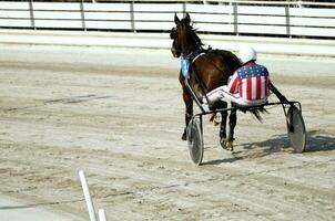 Harness Racing Action photo