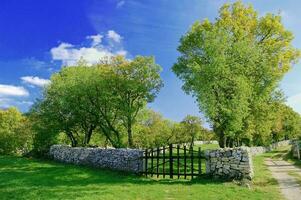 Lanscape - Gate and  Stone Wall photo