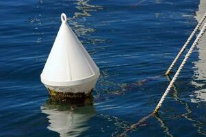 White Buoy in the Water photo