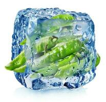 Pepper in ice cube photo