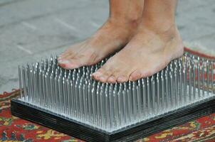 Bed of Nails - Fakir photo