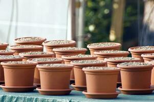 Close up of Pots photo