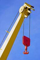 Yellow Crane with Red Hook photo