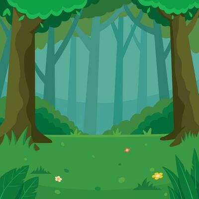 Blank Field On The Forest