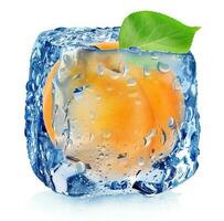 Apricot in ice cube photo