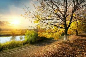 Road by the river photo