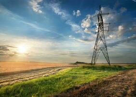 Electric pole in the field photo