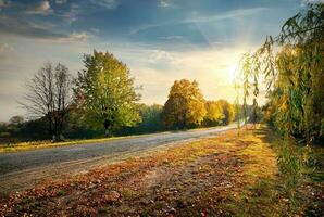 Road and autumn photo