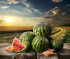 Watermelons on a table photo