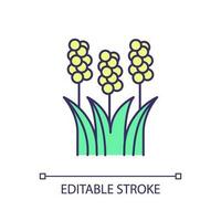 Sorghum plant RGB color icon. Cereal grain. Agriculture industry. Tropical grass. Garden perennial. Crops grown. Isolated vector illustration. Simple filled line drawing. Editable stroke