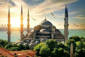 Seagulls over Blue Mosque photo