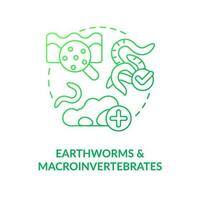 Earthworms and macroinvertebrates green gradient concept icon. Regenerative agriculture. Soil health indicator abstract idea thin line illustration. Isolated outline drawing vector