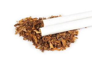 tabaco hojas cigarrillo campo de tiro al blanco aislado en blanco antecedentes foto