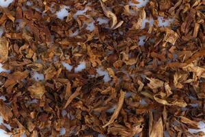 tabaco hojas cigarrillos textura cigarro marrón foto