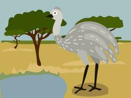 Illustration of cartoon ostrich emu in the safari, desert. Savannah with a funny ostrich. Emu is near the watering hole. Children's illustration, printing for children's books vector