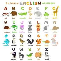 A large alphabet with cute cartoon animals to teach children. Educational illustration for preschool learning of the alphabet with the image of an animal and a letter. A set of cartoon vector