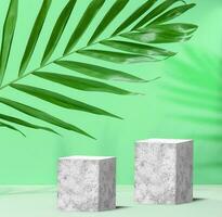 Green background with gray concrete cubes and palm leaf, product showcase stage photo