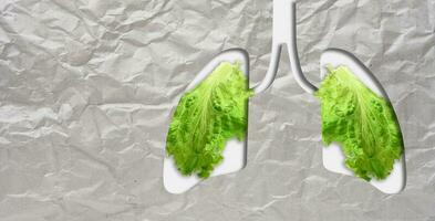Green leaves and a cut-out lung organ. Concept of health, clean air, and reducing harmful emissions into the atmosphere photo