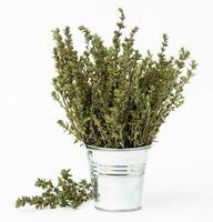 Thyme branches in a metal bucket on a white background photo