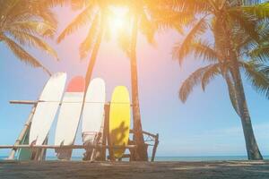 Surfboards beside coconut trees at summer beach with sun light and blue sky background. photo