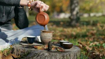 från en lera tekanna, en te bemästra häller bryggt te in i en lera pott. traditionell kinesisk te ceremoni video