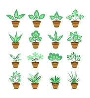 Set of houseplants indoor and outdoor potted plant isolated on white. Decorative plant for interior home decoration, green garden floral collection vector