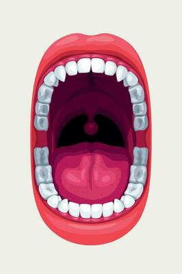 human mouth with smooth teeth on white