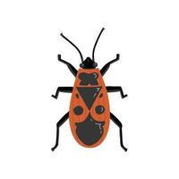 insecto de fuego, ácaro soldado. ilustración para impresión, antecedentes, cubre y embalaje. imagen lata ser usado para saludo tarjetas, carteles, pegatinas y textil. aislado en blanco antecedentes. vector