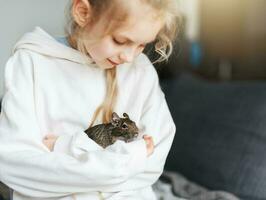 pequeño niña jugando con pequeño animal degú ardilla. foto