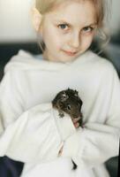 Little girl playing with small animal degu squirrel. photo