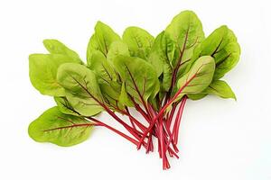 Ai generative.  Fresh red veined sorrel leaves on the white background photo
