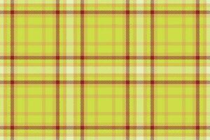 Plaid fabric pattern of background textile check with a texture tartan seamless vector. vector