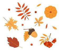 Set of autumn attributes. Elements for design. Vector illustration isolated on white background.