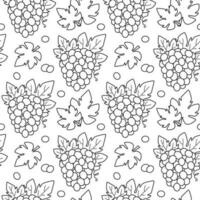 Seamless line pattern with bunches of grapes. Contour vector illustration with fruit. Black and white background with berries of grapes and leaves.