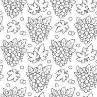 Seamless line pattern with bunches of grapes. Contour vector illustration with fruit. Black and white background with berries of grapes and leaves.